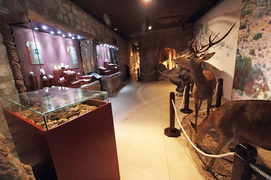 La Delegación de Patrimonio Histórico y 'Tu Historia' programan una jornada de puertas abiertas en el Museo Arqueológico y Etnológico de Lucena en el Castillo del Moral | Red de Juderías de España
