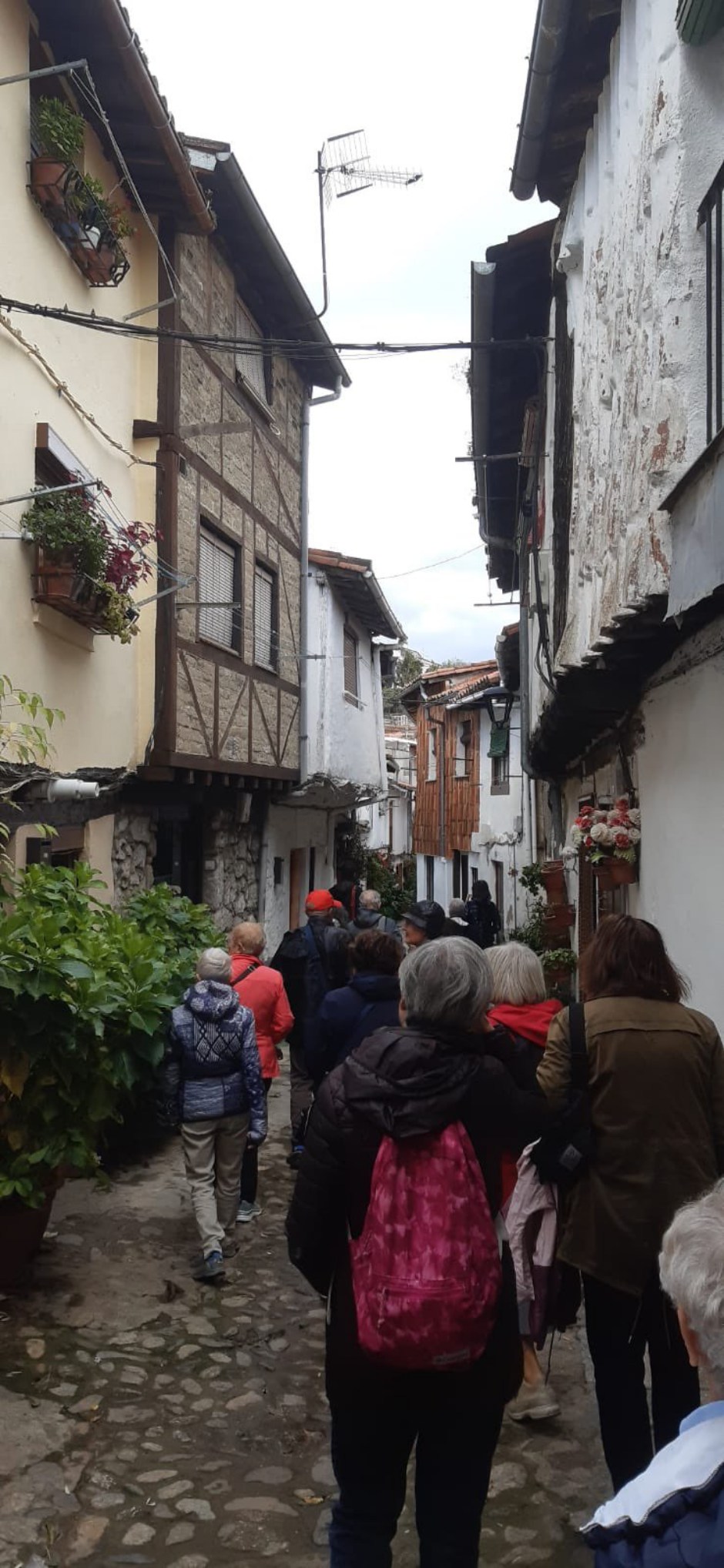 Primer viaje de los Amigos del Museo Ebraico di Bolonia a las ciudades de la Red de Juderías de España