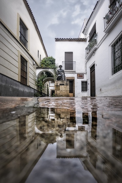 Se falla el premio de fotografía "Esencia judía de Córdoba" | Red de Juderías de España 