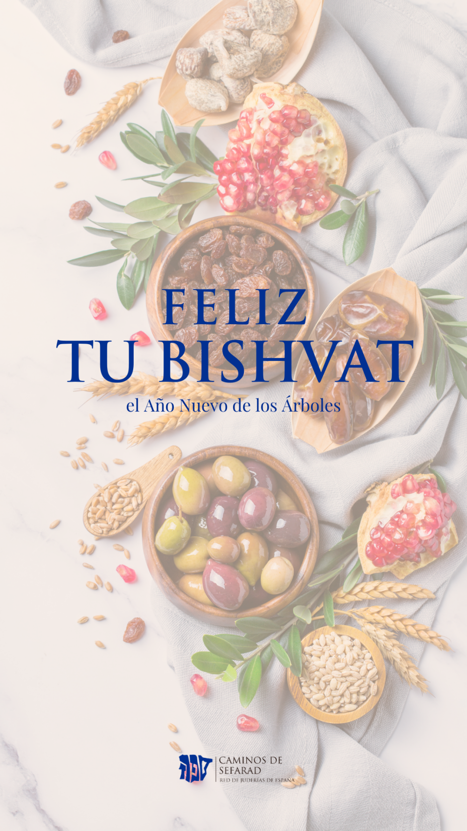 La Red de Juderías celebra Tu Bishvat, el Año Nuevo de los Árboles La Red de Juderías celebra Tu Bishvat, el Año Nuevo de los Árboles